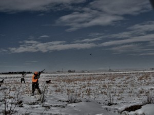 Photo of two hunters at Longmeadow Game Resort shooting a pheasant in flight