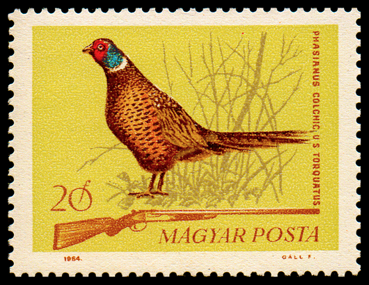 Image of stamp issued in Hungary showing pheasant and rifle on yellow background