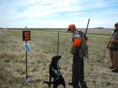 Photo a hunter and his dog stand ready