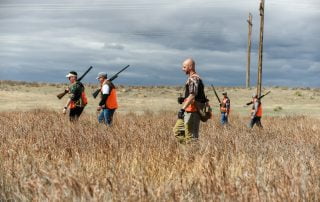Colorado Pheasant Hunting