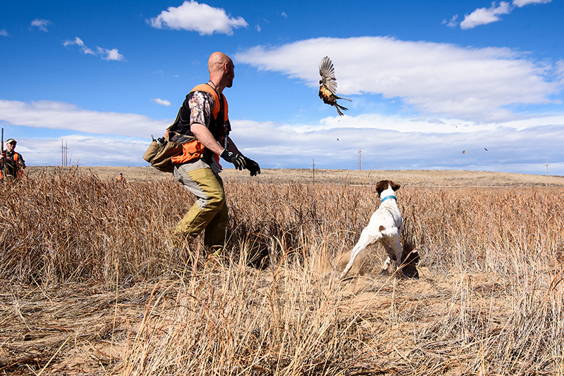 Colorado Hunting Club | Game Resort & Waterfowl Hunting Grounds